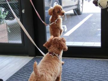 20120704-07.jpg