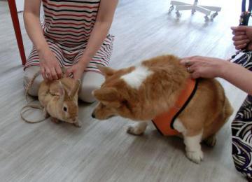 20120704-08.jpg