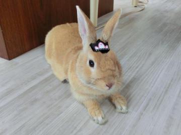 20120704-10.jpg