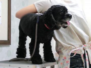 20120704-13.jpg