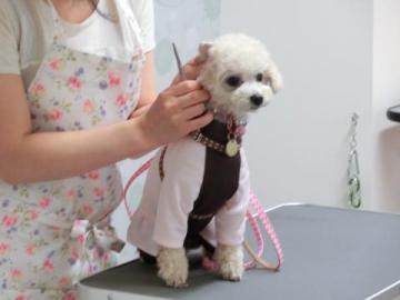 20120704-14.jpg