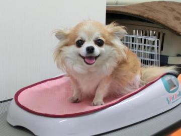 20120704-17.jpg