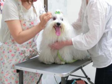 20120704-18.jpg