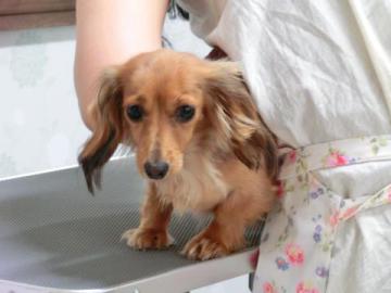 20120704-19.jpg