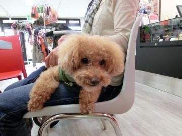 20120707-01.jpg
