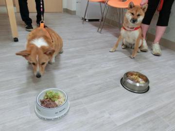 20120707-12.jpg