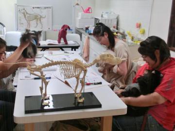 20120708-03.jpg