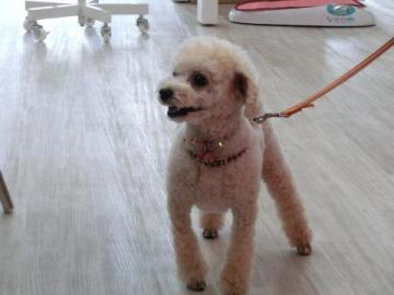 20120708-05.jpg