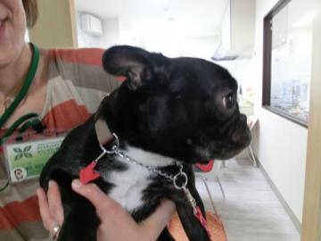 20120708-07.jpg