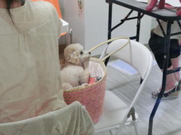 20120708-08.jpg