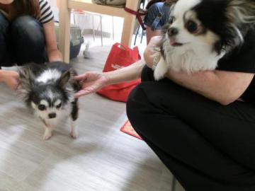 20120708-13.jpg