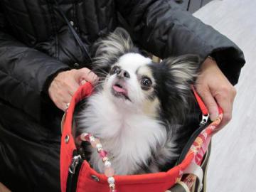 20120712-01.jpg