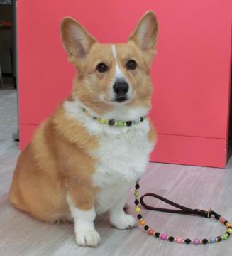 20120712-02.jpg