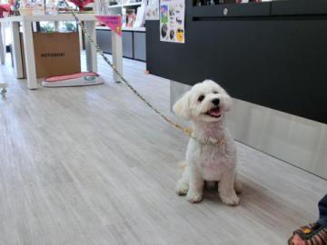 20120712-07.jpg