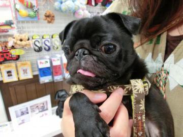 20120718-05.jpg