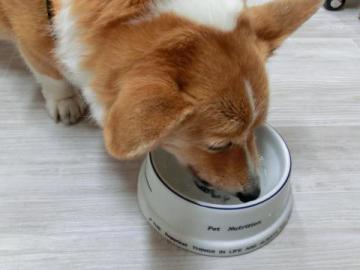 20120720-05.jpg