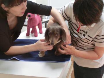 20120722-01.jpg