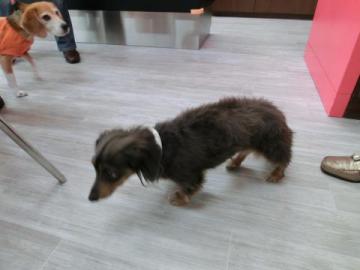 20120722-04.jpg