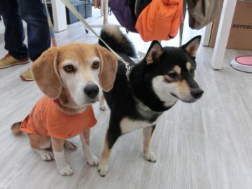 20120722-05.jpg