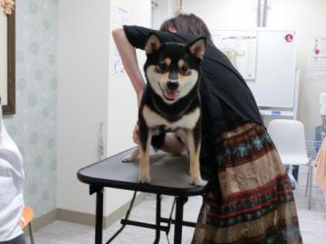 20120722-06.jpg