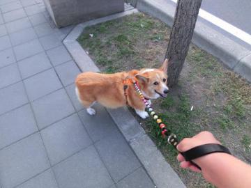 20120722-08.jpg