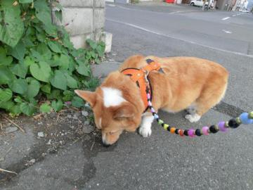 20120722-09.jpg
