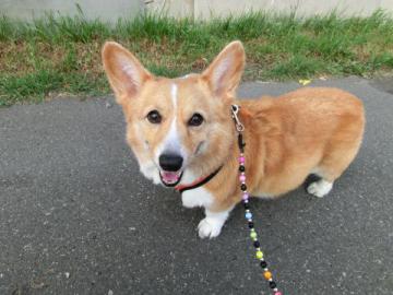20120722-10.jpg