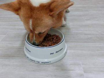 20120728-04.jpg