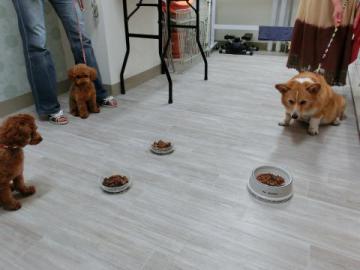 20120728-09.jpg
