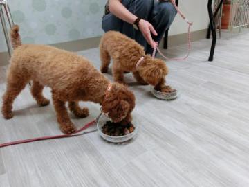 20120728-10.jpg