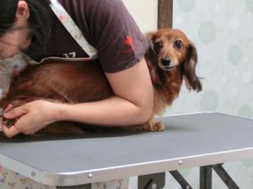 20120808-15.jpg