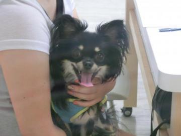 20120819-01.jpg