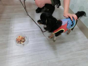 20120819-04.jpg