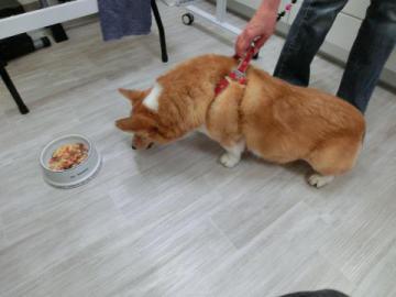 20120819-05.jpg