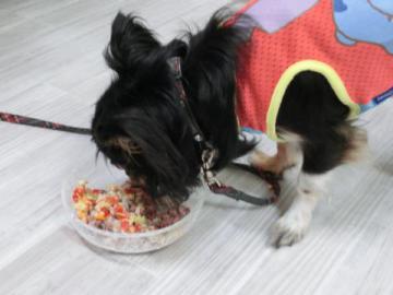 20120819-06.jpg
