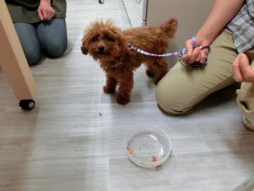 20120819-08.jpg