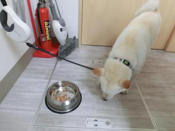20120819-09.jpg