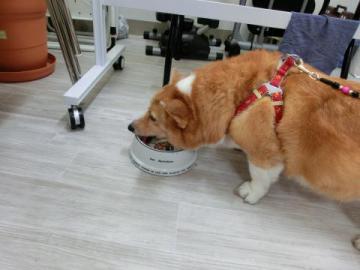 20120819-12.jpg