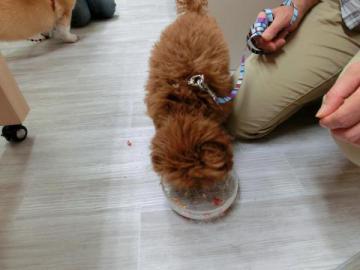 20120819-13.jpg