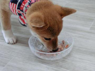 20120908-12.jpg