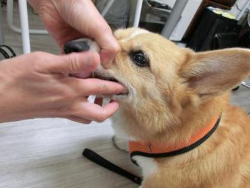 20120913-06.jpg