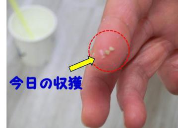 20120913-07.jpg