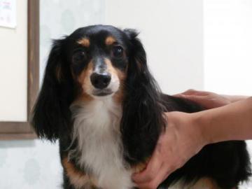 20120919-01.jpg