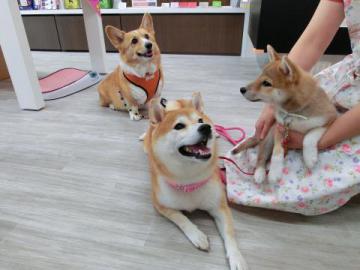 20120919-02.jpg