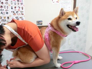 20120919-03.jpg