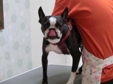 20120919-06.jpg