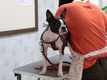 20120919-07.jpg
