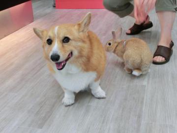 20120919-10.jpg