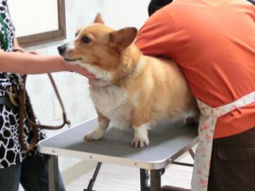 20120919-11.jpg