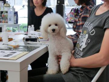 20120926-01.jpg